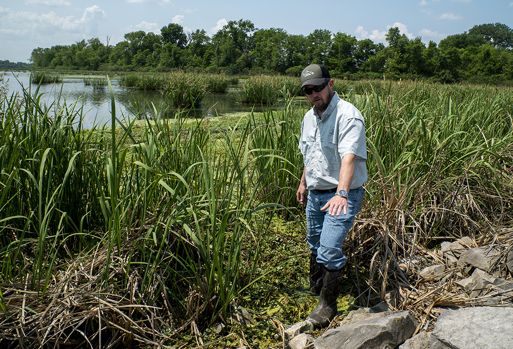 Mike Sertle in a restored wetland in Illinois.